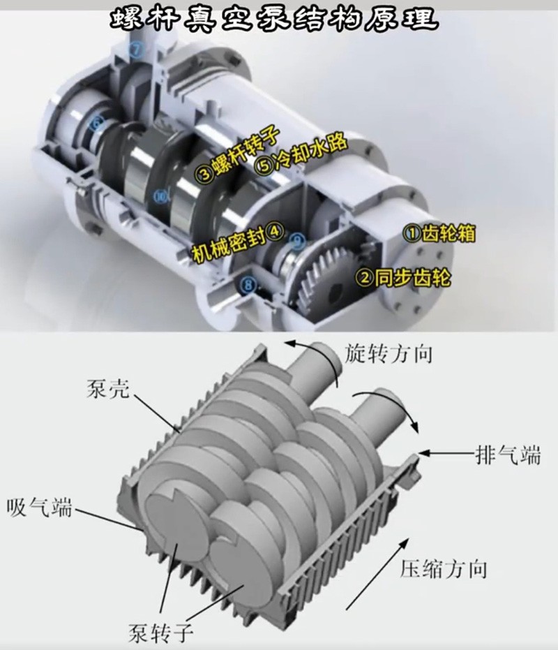 Screw Dry Vacuum Pump suppliers